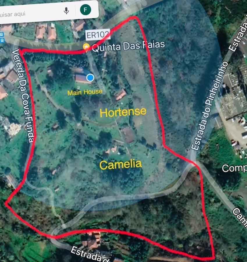 Quinta Das Faias Camacha  Екстериор снимка