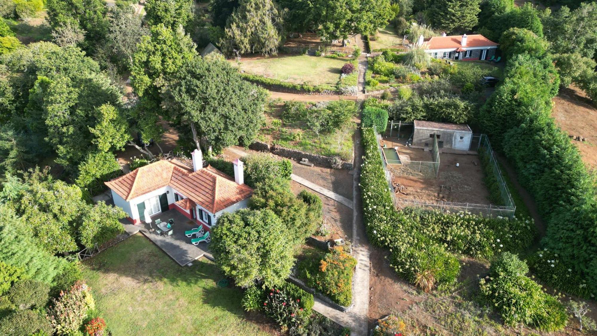 Quinta Das Faias Camacha  Стая снимка