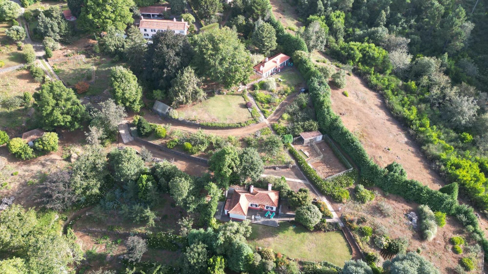 Quinta Das Faias Camacha  Екстериор снимка