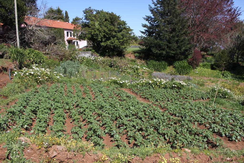 Quinta Das Faias Camacha  Екстериор снимка