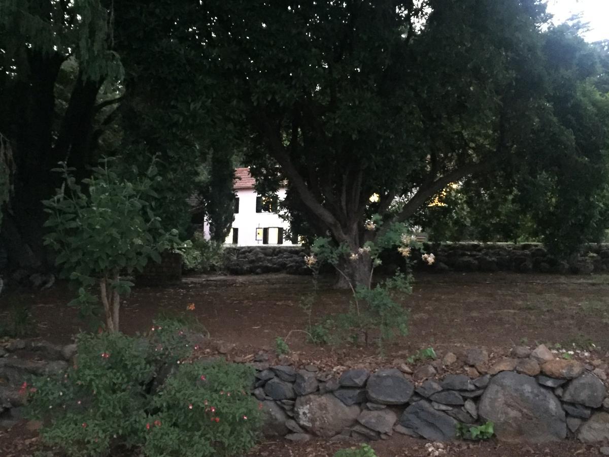 Quinta Das Faias Camacha  Екстериор снимка